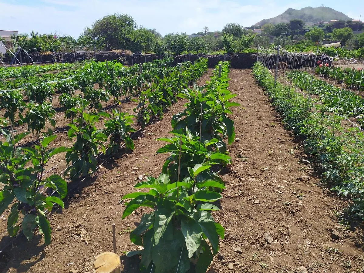 Farm stay Agriturismo Hibiscus Villa Isola di Ustica Italy